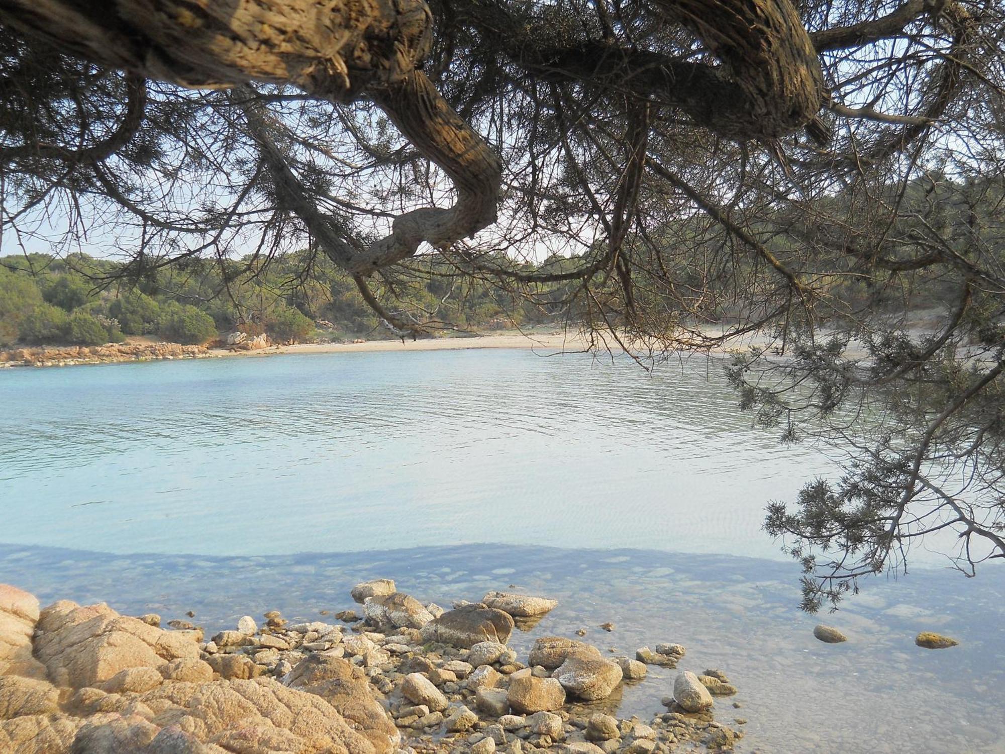 La Quercia Della Gallura Luogosanto Buitenkant foto